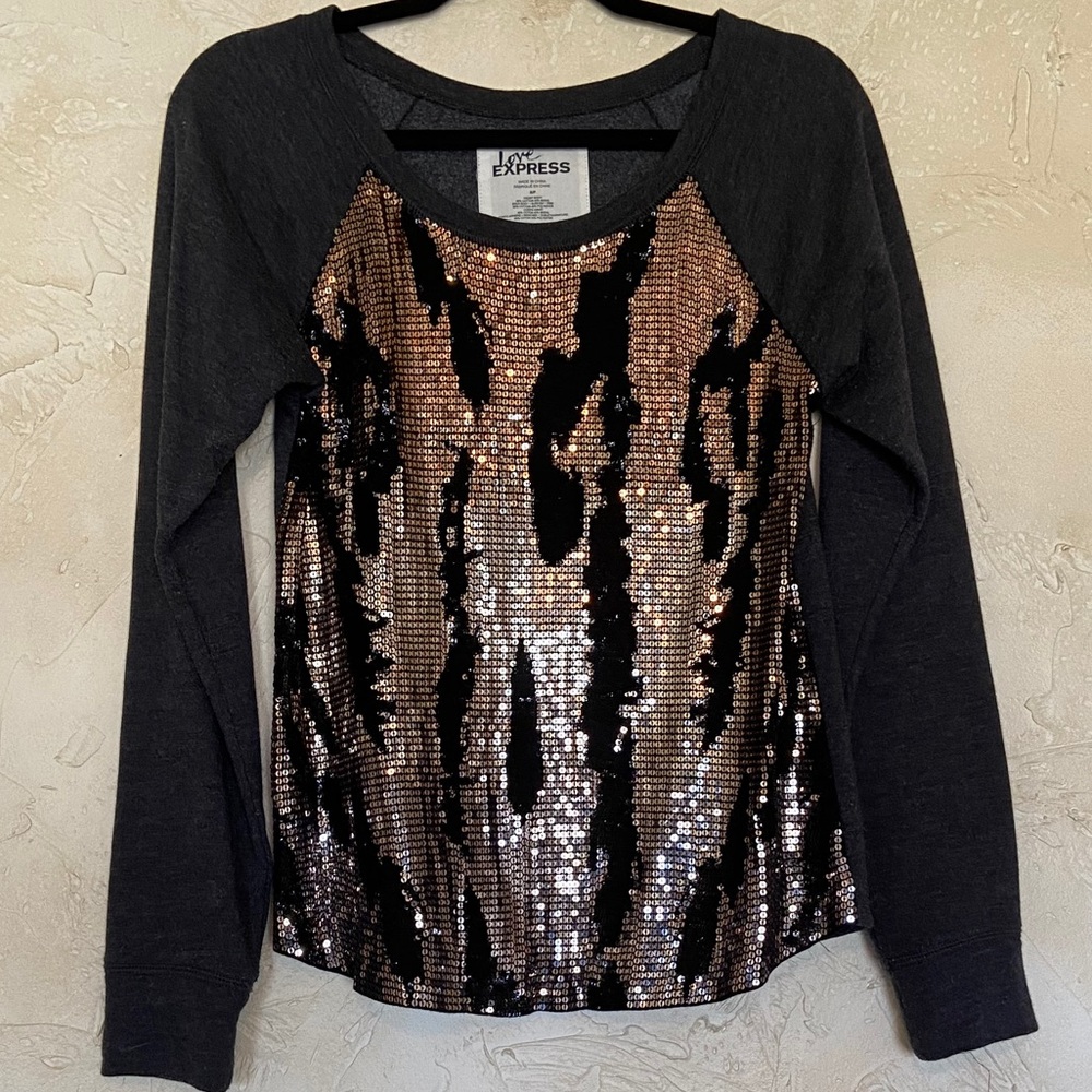 EXPRESS Sequined Sweater